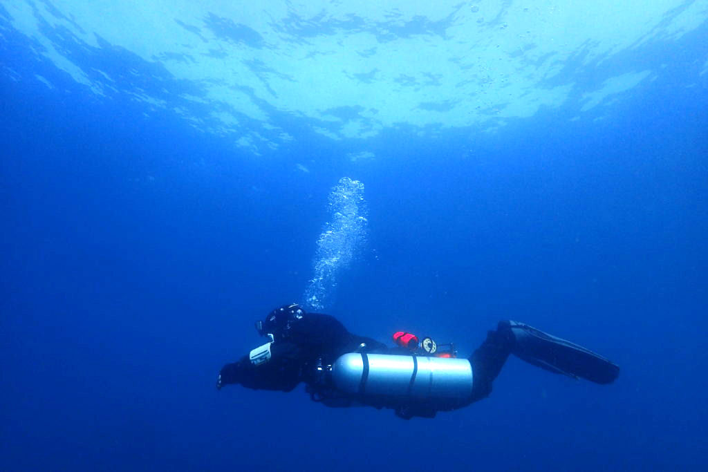 Stingray Japan Jp ダイビングの夢を叶える為にサポートいたします